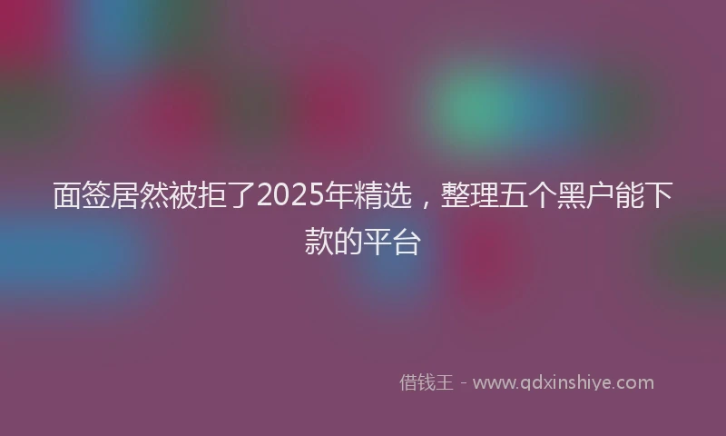 面签居然被拒了2025年精选，整理五个黑户能下款的平台