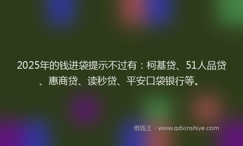 2025年的钱进袋提示不过有：柯基贷、51人品贷、惠商贷、读秒贷、平安口袋银行等。