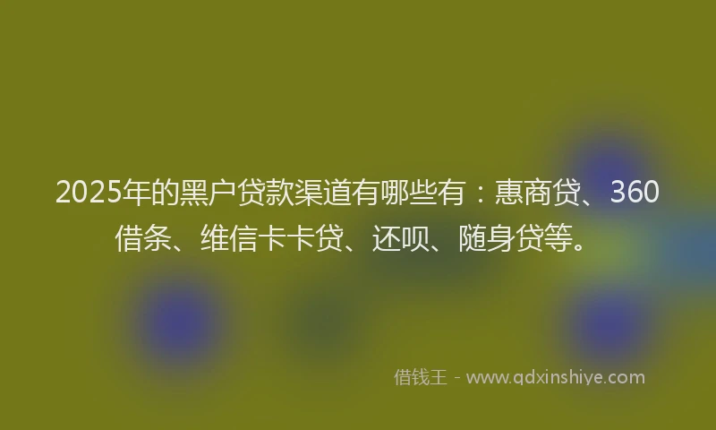 2025年的黑户贷款渠道有哪些有：惠商贷、360借条、维信卡卡贷、还呗、随身贷等。