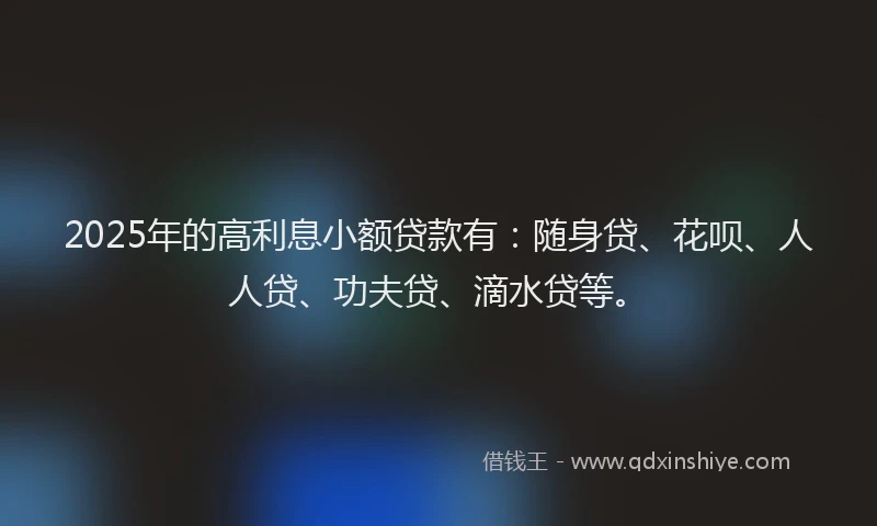 2025年的高利息小额贷款有：随身贷、花呗、人人贷、功夫贷、滴水贷等。