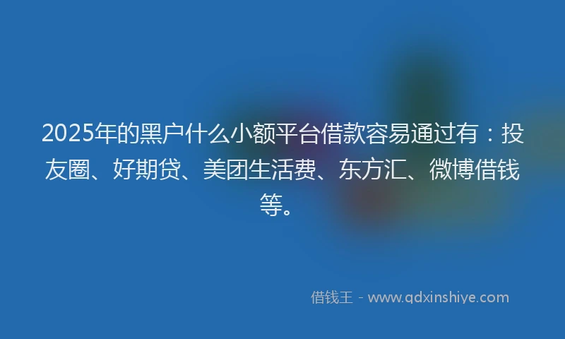 2025年的黑户什么小额平台借款容易通过有：投友圈、好期贷、美团生活费、东方汇、微博借钱等。