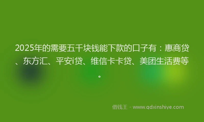 2025年的需要五千块钱能下款的口子有：惠商贷、东方汇、平安i贷、维信卡卡贷、美团生活费等。