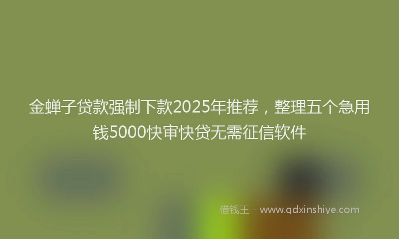 金蝉子贷款强制下款2025年推荐，整理五个急用钱5000快审快贷无需征信软件