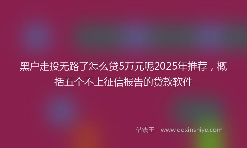 黑户走投无路了怎么贷5万元呢2025年推荐，概括五个不上征信报告的贷款软件