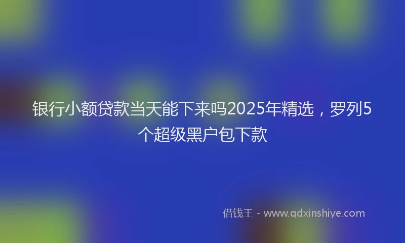 银行小额贷款当天能下来吗2025年精选，罗列5个超级黑户包下款