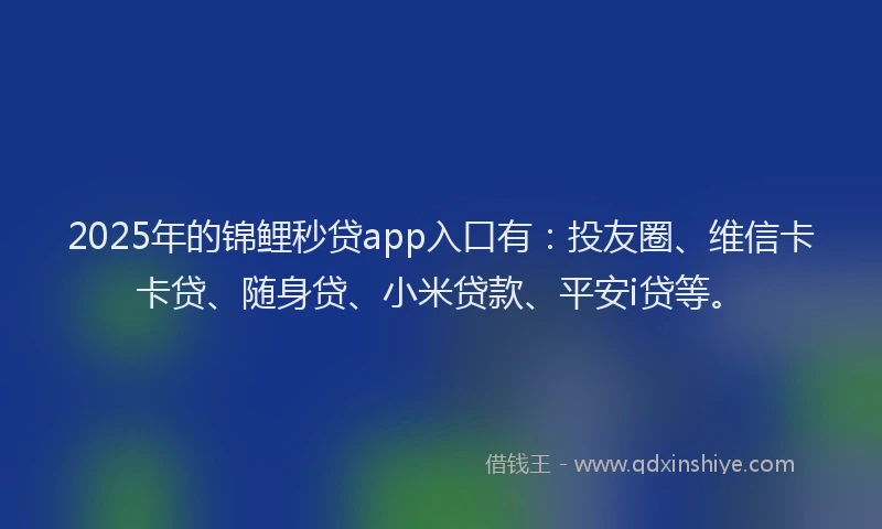 2025年的锦鲤秒贷app入口有：投友圈、维信卡卡贷、随身贷、小米贷款、平安i贷等。