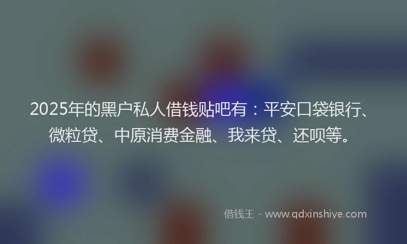 2025年的黑户私人借钱贴吧有：平安口袋银行、微粒贷、中原消费金融、我来贷、还呗等。