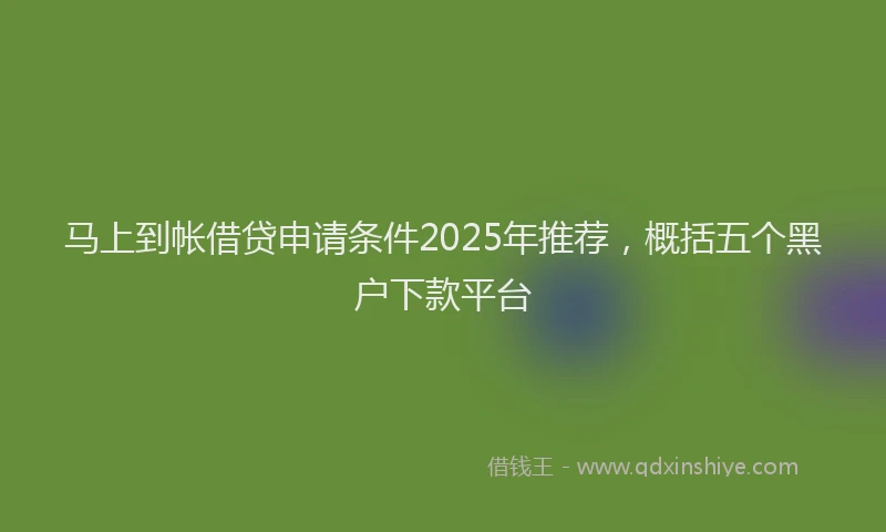 马上到帐借贷申请条件2025年推荐，概括五个黑户下款平台