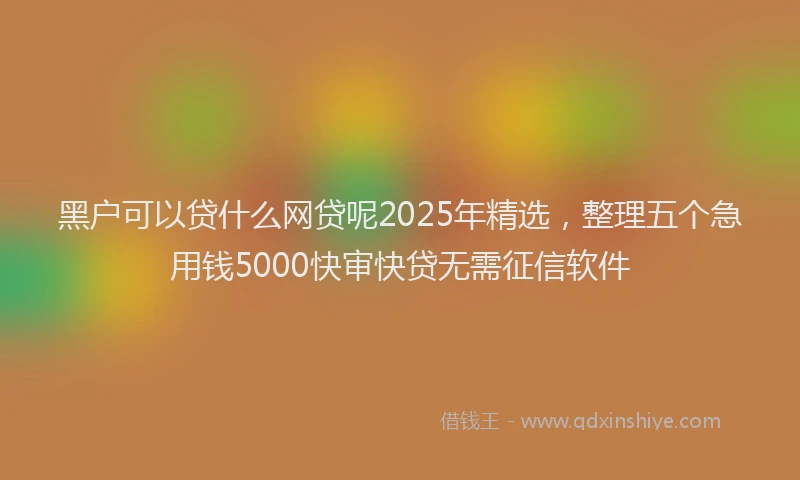 黑户可以贷什么网贷呢2025年精选，整理五个急用钱5000快审快贷无需征信软件