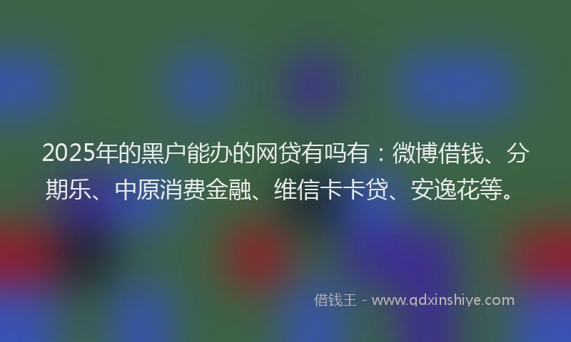 2025年的黑户能办的网贷有吗有：微博借钱、分期乐、中原消费金融、维信卡卡贷、安逸花等。