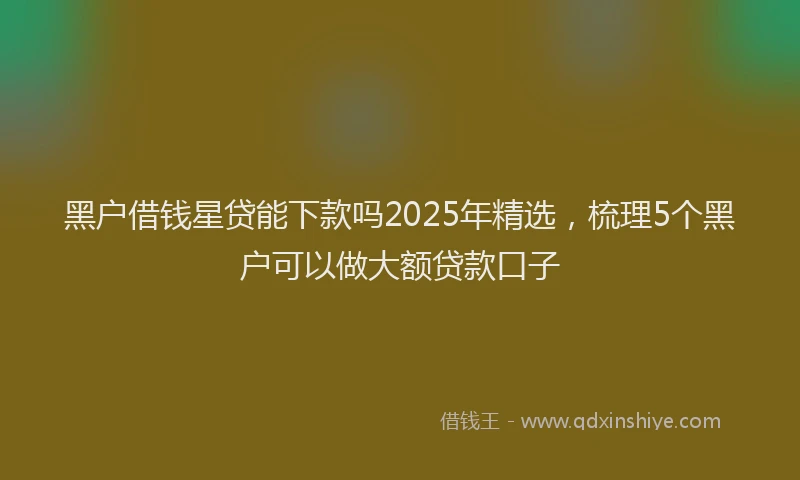黑户借钱星贷能下款吗2025年精选，梳理5个黑户可以做大额贷款口子