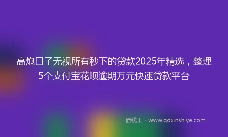 高炮口子无视所有秒下的贷款2025年精选，整理5个支付宝花呗逾期万元快速贷款平台