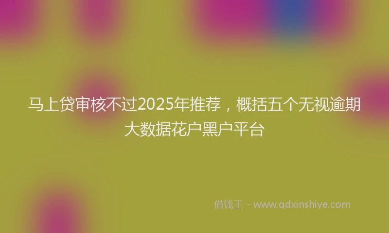 马上贷审核不过2025年推荐，概括五个无视逾期大数据花户黑户平台