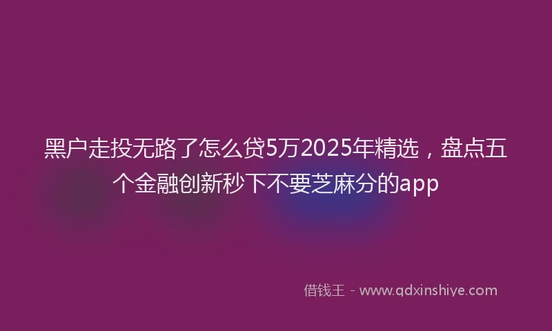 黑户走投无路了怎么贷5万2025年精选，盘点五个金融创新秒下不要芝麻分的app