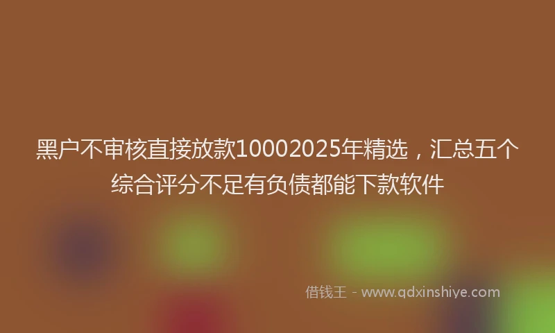 黑户不审核直接放款10002025年精选，汇总五个综合评分不足有负债都能下款软件