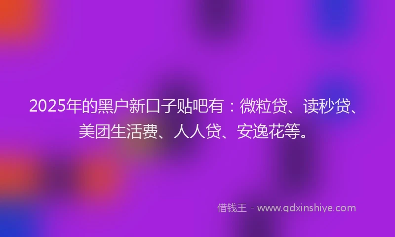 2025年的黑户新口子贴吧有：微粒贷、读秒贷、美团生活费、人人贷、安逸花等。