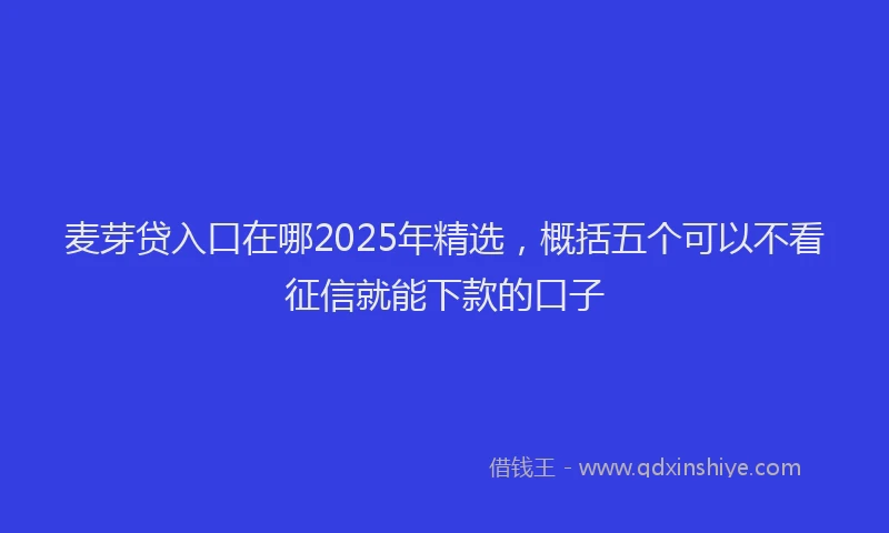 麦芽贷入口在哪2025年精选，概括五个可以不看征信就能下款的口子