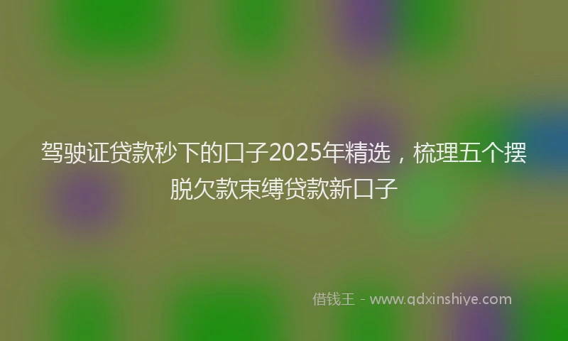 驾驶证贷款秒下的口子2025年精选，梳理五个摆脱欠款束缚贷款新口子
