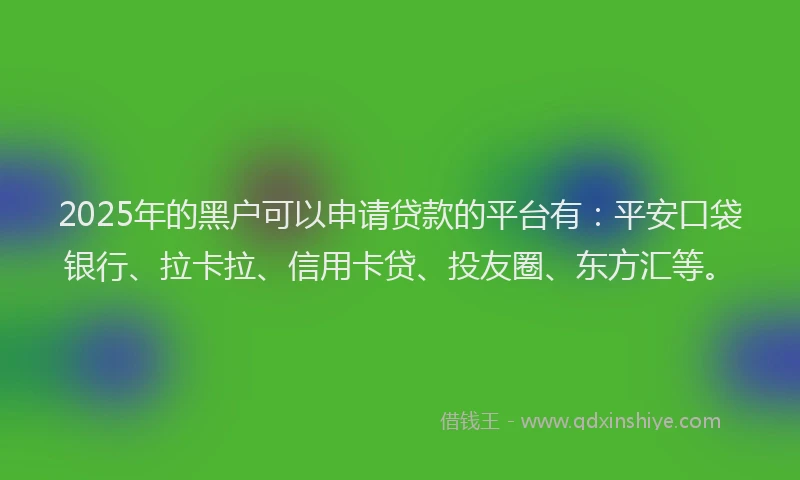 2025年的黑户可以申请贷款的平台有：平安口袋银行、拉卡拉、信用卡贷、投友圈、东方汇等。