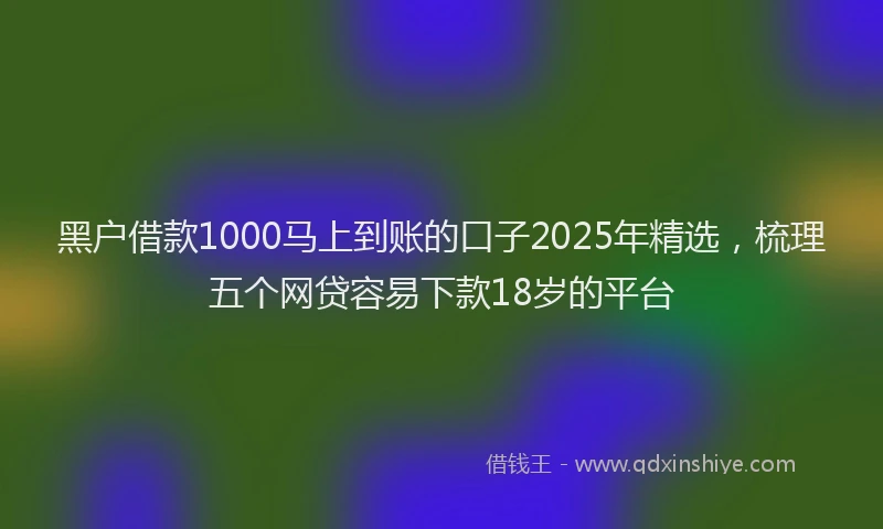 黑户借款1000马上到账的口子2025年精选，梳理五个网贷容易下款18岁的平台