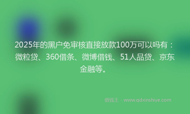 2025年的黑户免审核直接放款100万可以吗有：微粒贷、360借条、微博借钱、51人品贷、京东金融等。