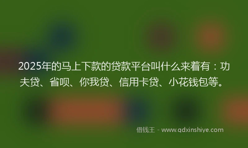2025年的马上下款的贷款平台叫什么来着有：功夫贷、省呗、你我贷、信用卡贷、小花钱包等。