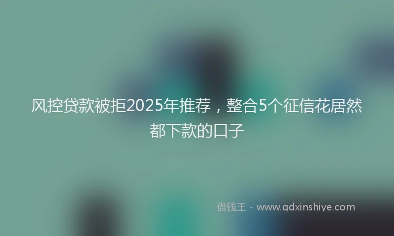 风控贷款被拒2025年推荐，整合5个征信花居然都下款的口子