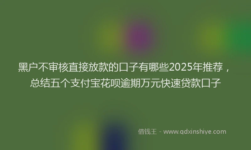 黑户不审核直接放款的口子有哪些2025年推荐，总结五个支付宝花呗逾期万元快速贷款口子