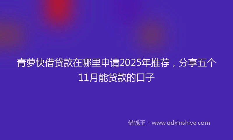 青萝快借贷款在哪里申请2025年推荐，分享五个11月能贷款的口子