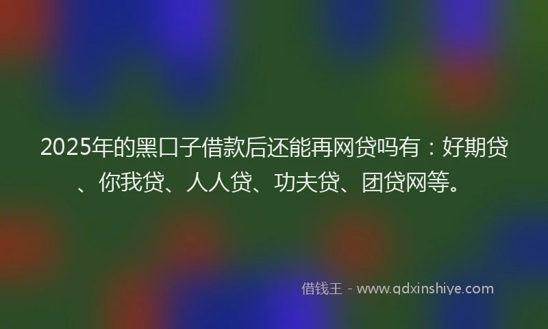 2025年的黑口子借款后还能再网贷吗有：好期贷、你我贷、人人贷、功夫贷、团贷网等。