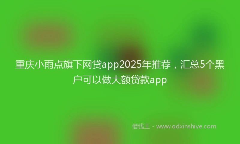 重庆小雨点旗下网贷app2025年推荐，汇总5个黑户可以做大额贷款app