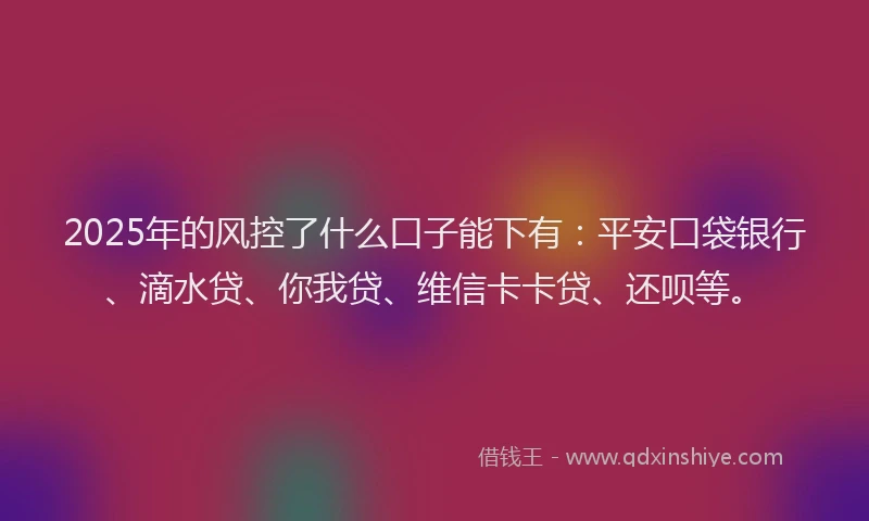 2025年的风控了什么口子能下有：平安口袋银行、滴水贷、你我贷、维信卡卡贷、还呗等。