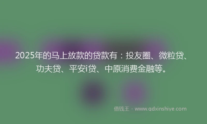 2025年的马上放款的贷款有：投友圈、微粒贷、功夫贷、平安i贷、中原消费金融等。