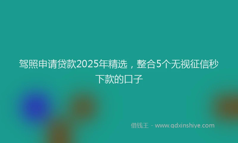 驾照申请贷款2025年精选，整合5个无视征信秒下款的口子