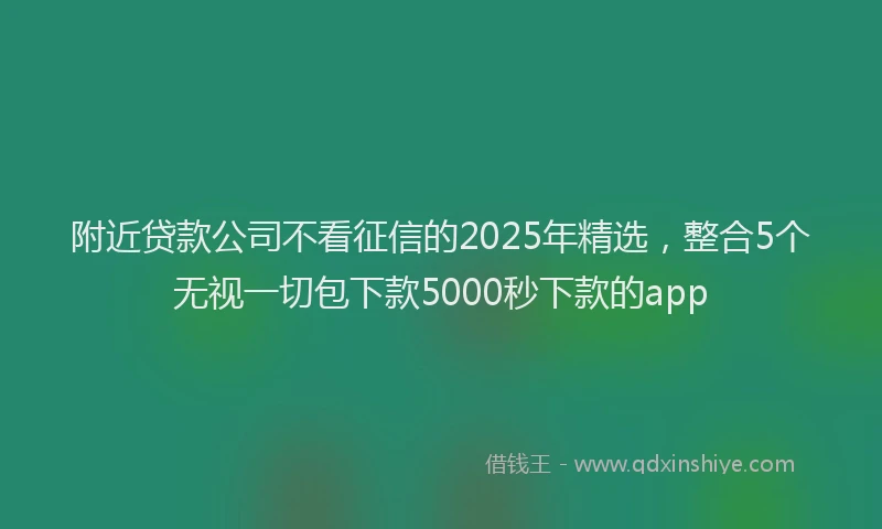 附近贷款公司不看征信的2025年精选，整合5个无视一切包下款5000秒下款的app