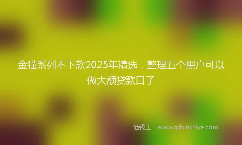 金猫系列不下款2025年精选，整理五个黑户可以做大额贷款口子