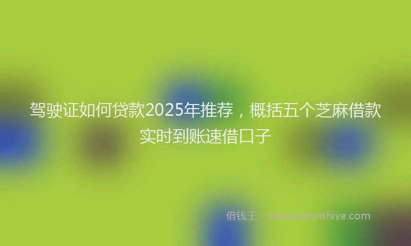 驾驶证如何贷款2025年推荐，概括五个芝麻借款实时到账速借口子