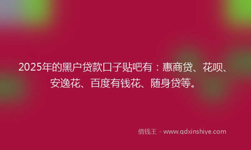 2025年的黑户贷款口子贴吧有：惠商贷、花呗、安逸花、百度有钱花、随身贷等。