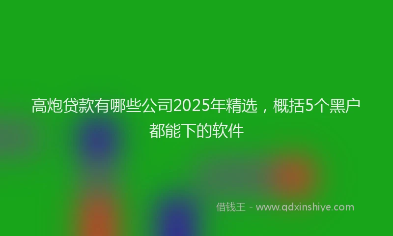 高炮贷款有哪些公司2025年精选，概括5个黑户都能下的软件