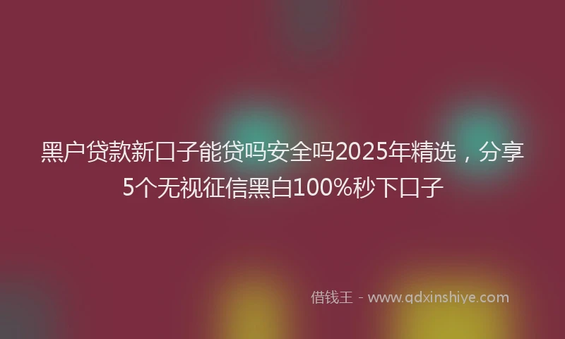 黑户贷款新口子能贷吗安全吗2025年精选，分享5个无视征信黑白100%秒下口子