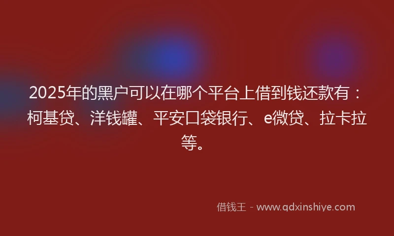 2025年的黑户可以在哪个平台上借到钱还款有：柯基贷、洋钱罐、平安口袋银行、e微贷、拉卡拉等。