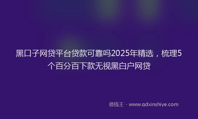 黑口子网贷平台贷款可靠吗2025年精选，梳理5个百分百下款无视黑白户网贷