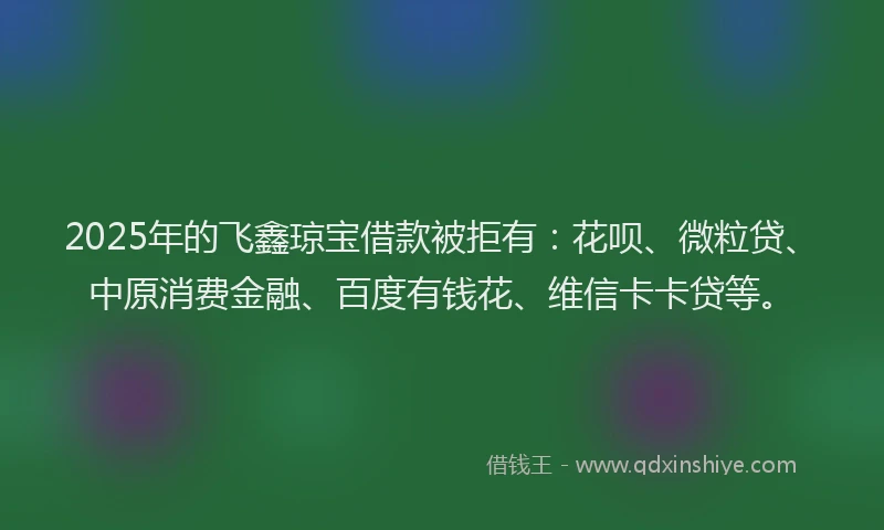2025年的飞鑫琼宝借款被拒有：花呗、微粒贷、中原消费金融、百度有钱花、维信卡卡贷等。