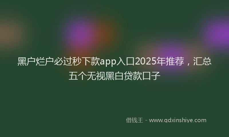 黑户烂户必过秒下款app入口2025年推荐，汇总五个无视黑白贷款口子