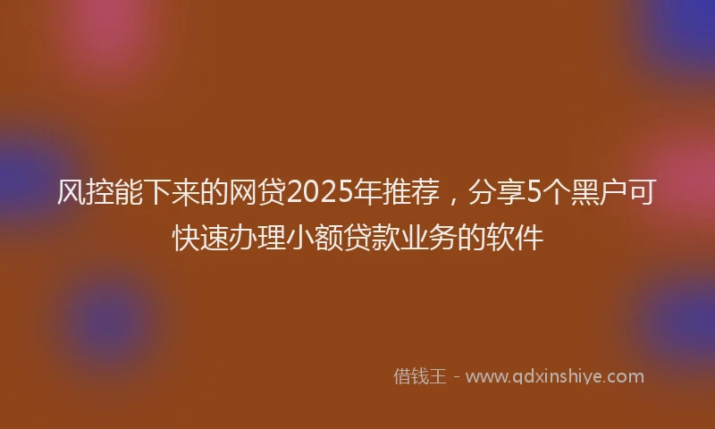 风控能下来的网贷2025年推荐，分享5个黑户可快速办理小额贷款业务的软件