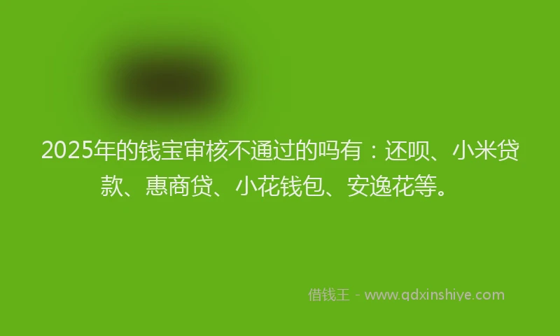 2025年的钱宝审核不通过的吗有：还呗、小米贷款、惠商贷、小花钱包、安逸花等。
