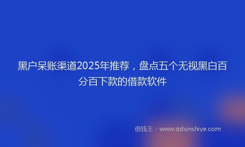 黑户呆账渠道2025年推荐，盘点五个无视黑白百分百下款的借款软件