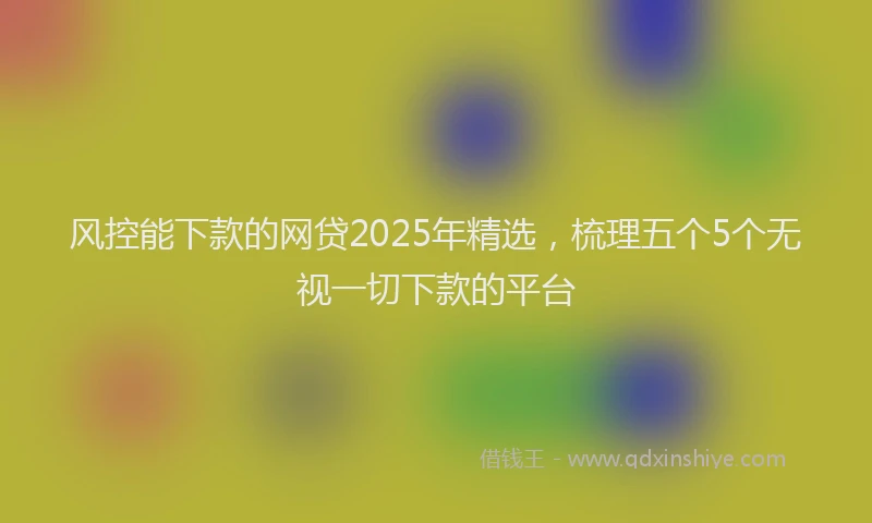 风控能下款的网贷2025年精选，梳理五个5个无视一切下款的平台
