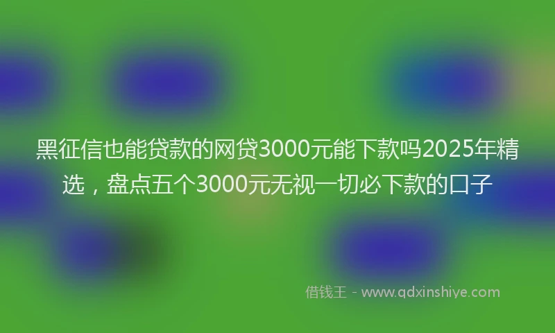 黑征信也能贷款的网贷3000元能下款吗2025年精选，盘点五个3000元无视一切必下款的口子