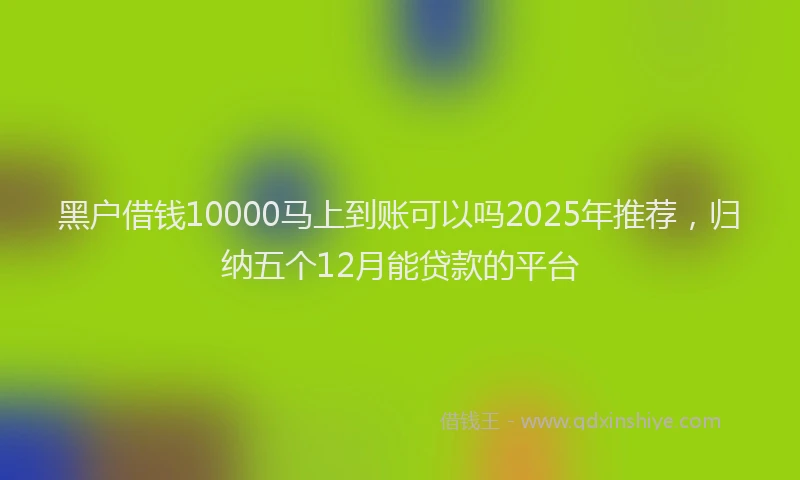 黑户借钱10000马上到账可以吗2025年推荐，归纳五个12月能贷款的平台